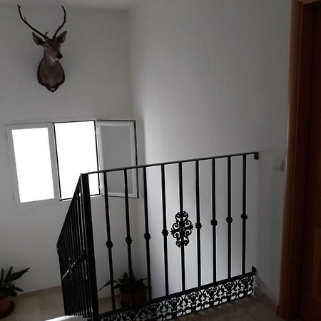 Ferienwohnung Atico Centrico Antequera Exterior foto